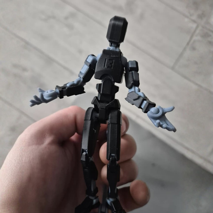 Dummy-13 Assembly Kit