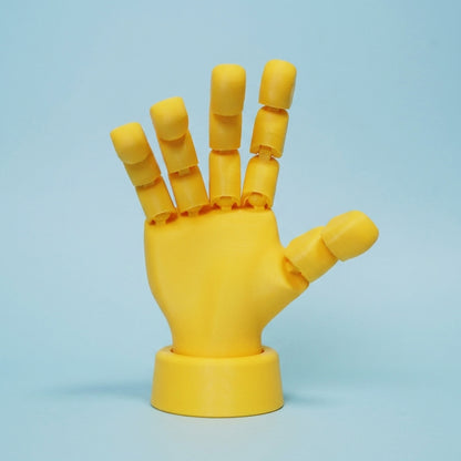 Posable Articulated Hand Model